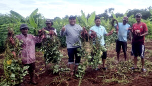 LDII Banten Dukung Program Ketahanan Pangan untuk Cegah Stunting
