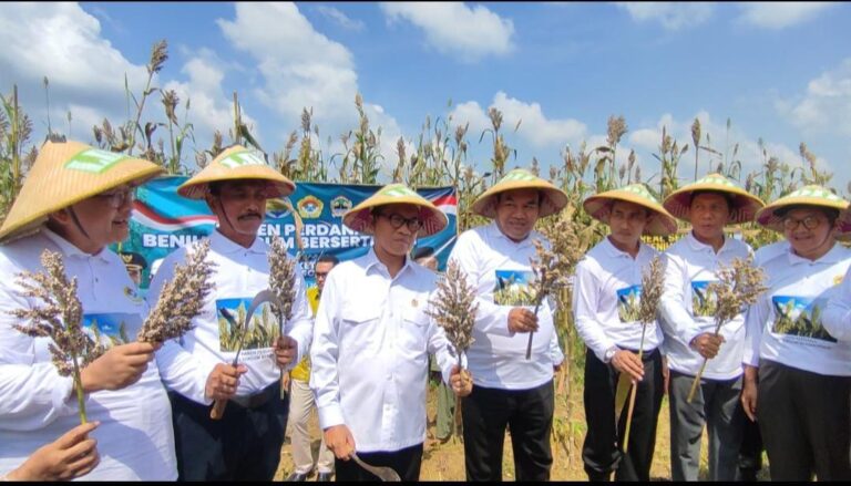 LDII Dorong Kemandirian Pangan Lewat Sorgum, Menteri Desa Hadiri Panen di Blora