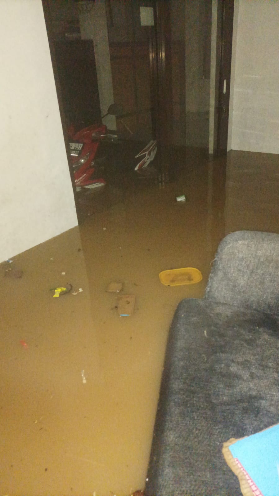 38f5512e 3d1b 4940 8fc6 99847a382693