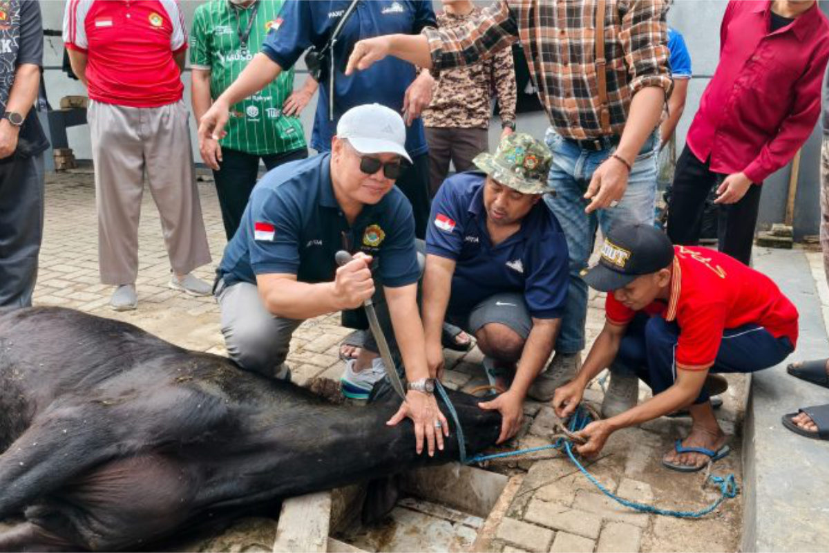 Ketua DPW LDII Jawa Barat, H. Dicky Harun, bersiap melakukan penyembelihan hewan kurban